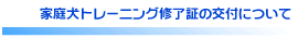�ƒ댢�g���[�j���O�C���؂̌�t�ɂ���
